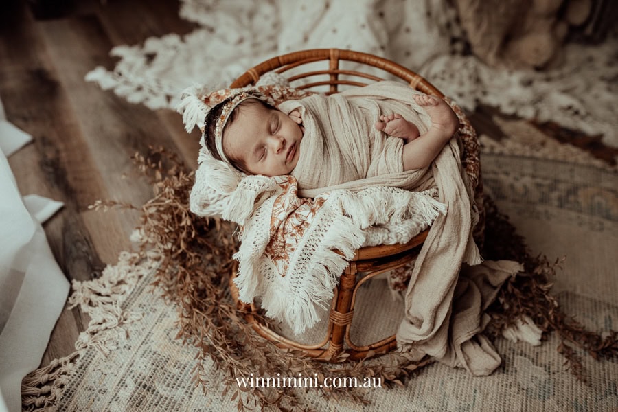 newborn family baby family photos photography pindara bunting obstetrician mater mothers