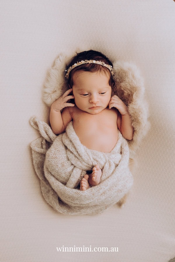 newborn family baby family photos photography pindara bunting obstetrician mater mothers