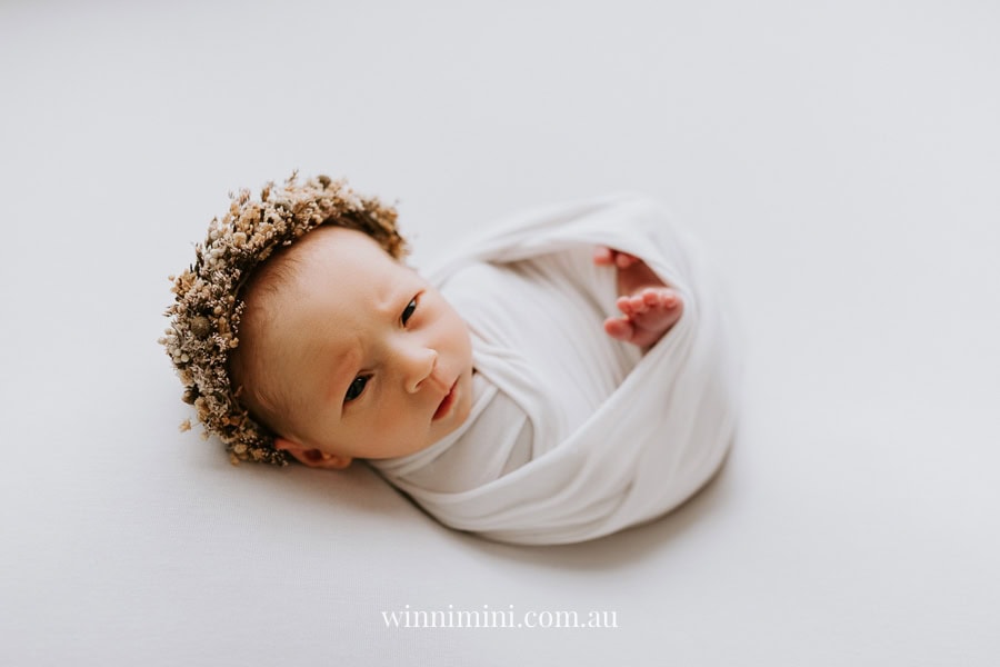 newborn family baby family photos photography pindara bunting obstetrician mater mothers