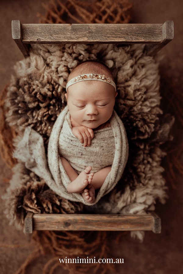 newborn family baby family photos photography pindara bunting obstetrician mater mothers