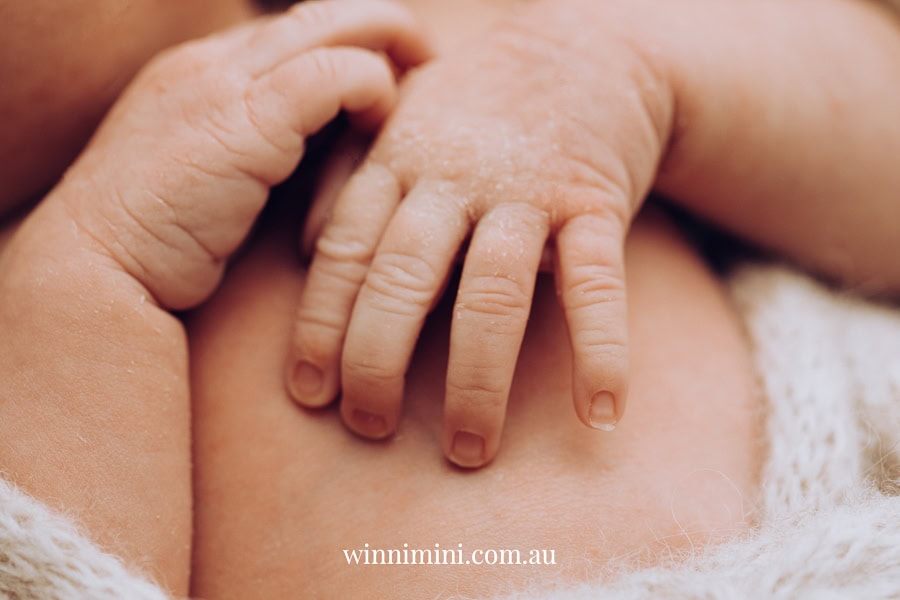 newborn family baby family photos photography pindara bunting obstetrician mater mothers
