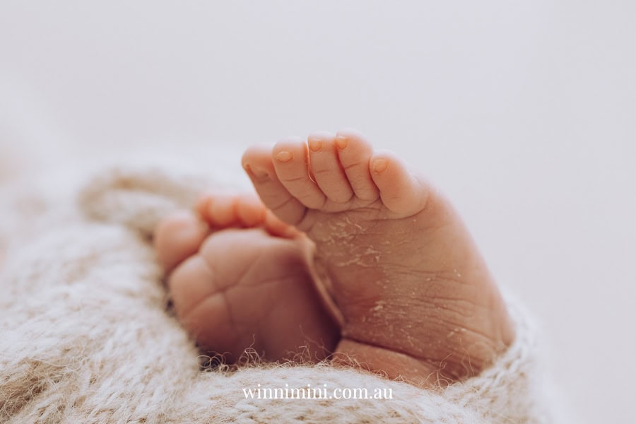 newborn family baby family photos photography pindara bunting obstetrician mater mothers