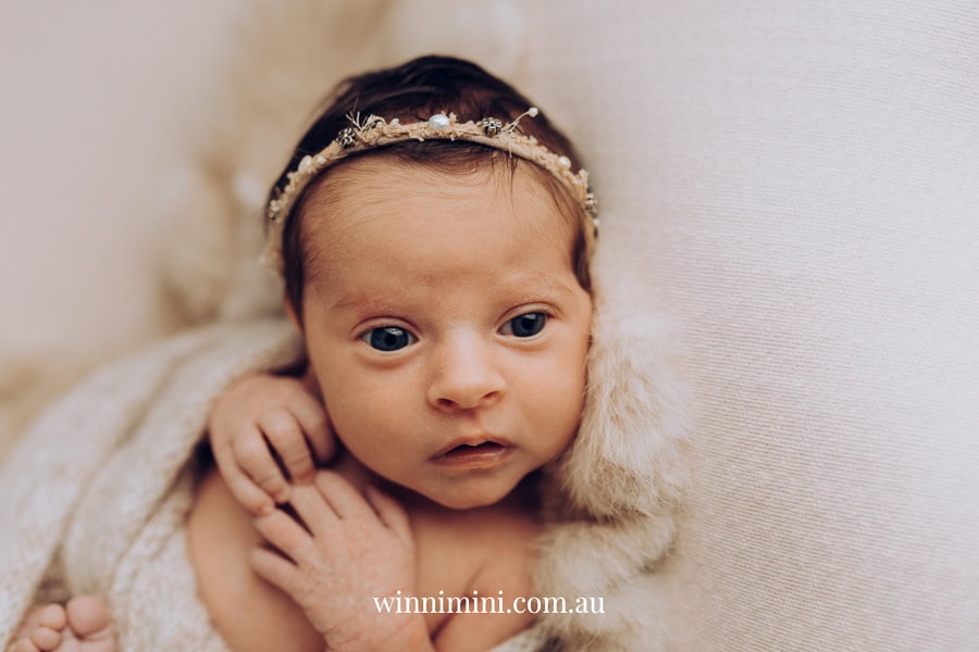 newborn family baby family photos photography pindara bunting obstetrician mater mothers