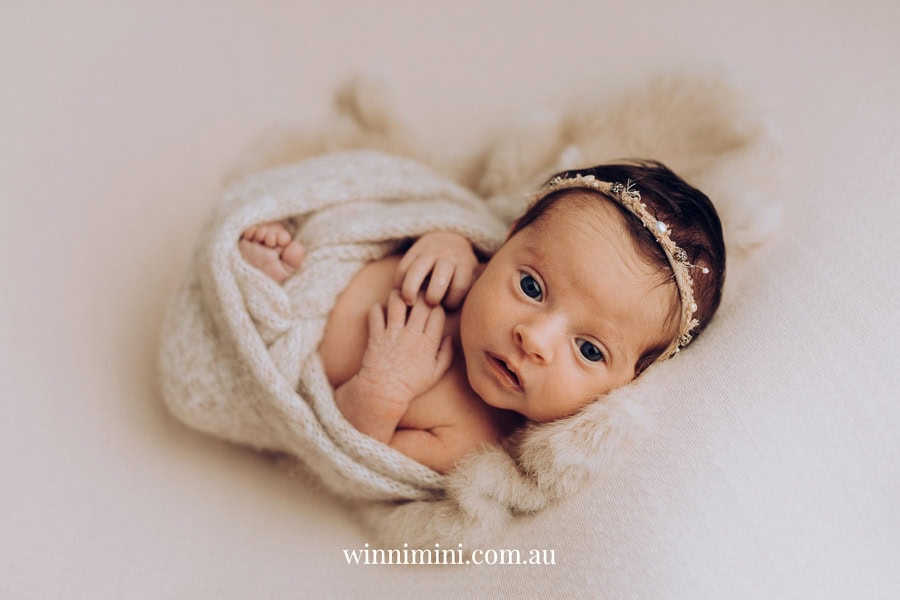 newborn family baby family photos photography pindara bunting obstetrician mater mothers
