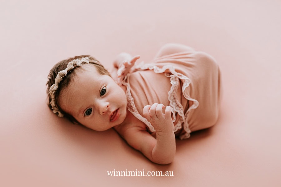 newborn family baby family photos photography pindara bunting obstetrician mater mothers