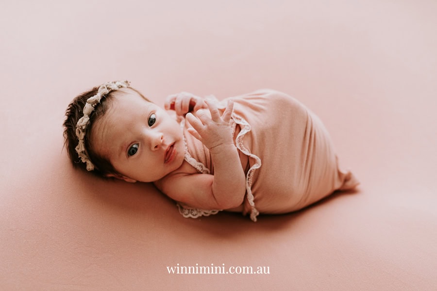 newborn family baby family photos photography pindara bunting obstetrician mater mothers