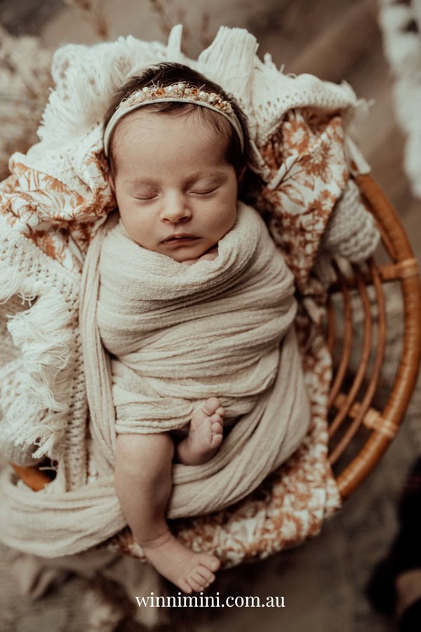 newborn family baby family photos photography pindara bunting obstetrician mater mothers