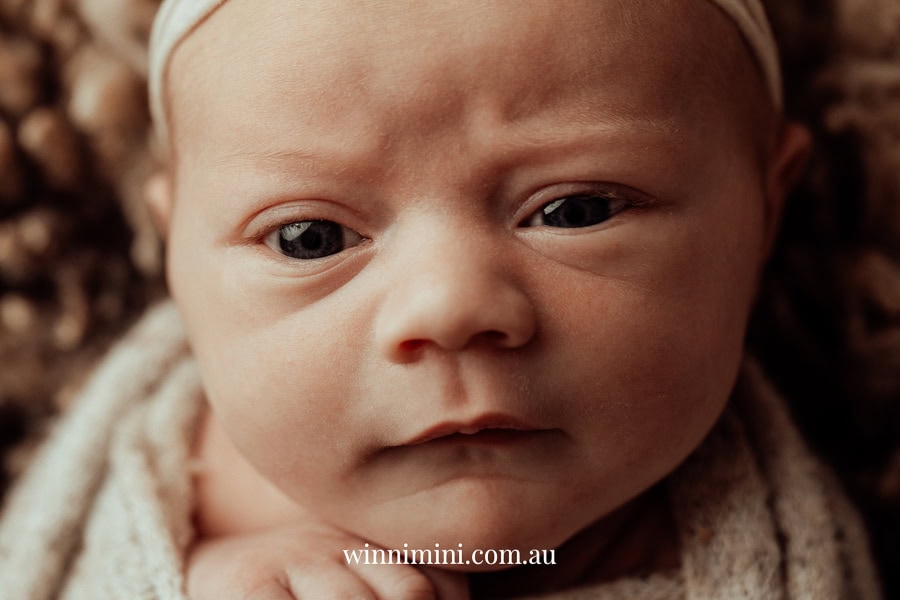 newborn family baby family photos photography pindara bunting obstetrician mater mothers