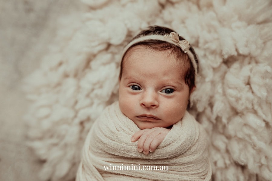 newborn family baby family photos photography pindara bunting obstetrician mater mothers