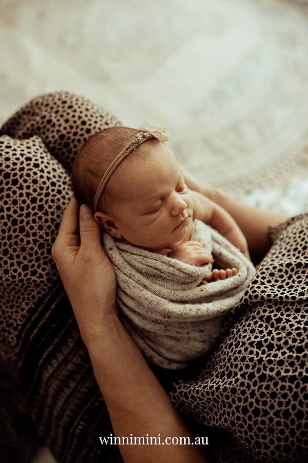 newborn family baby family photos photography pindara bunting obstetrician mater mothers