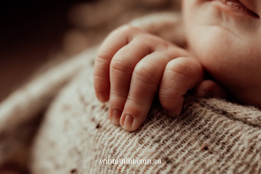 newborn family baby family photos photography pindara bunting obstetrician mater mothers
