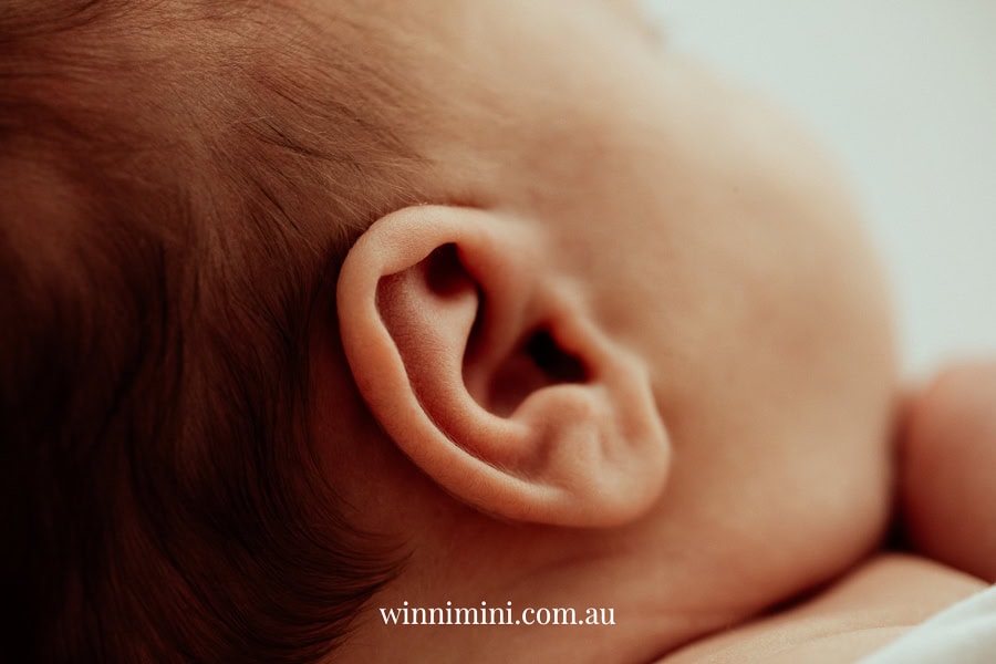 newborn family baby family photos photography pindara bunting obstetrician mater mothers