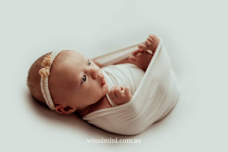 newborn family baby family photos photography pindara bunting obstetrician mater mothers