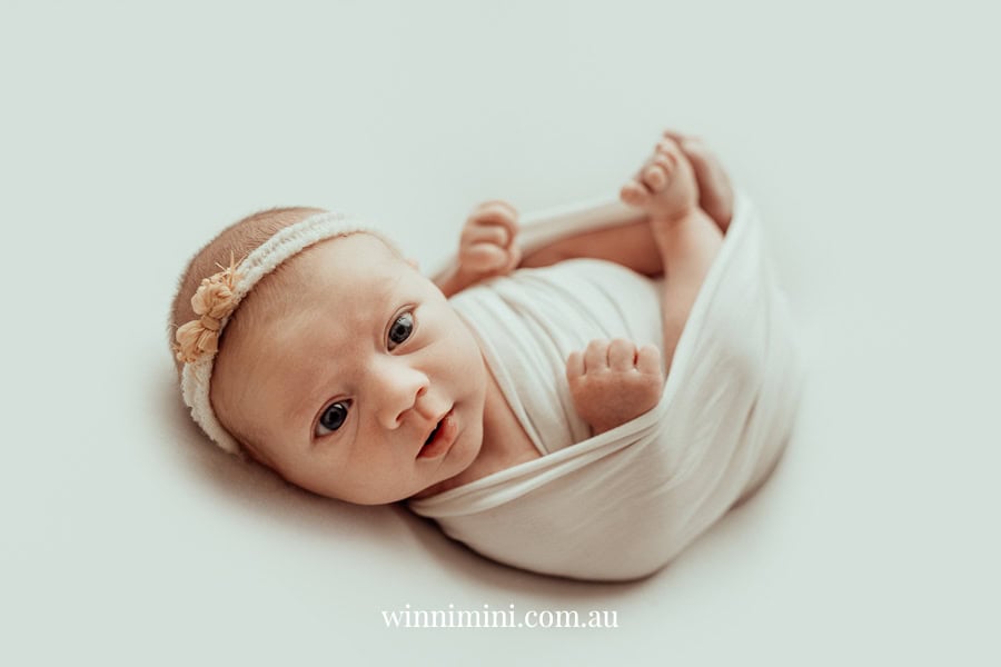 newborn family baby family photos photography pindara bunting obstetrician mater mothers