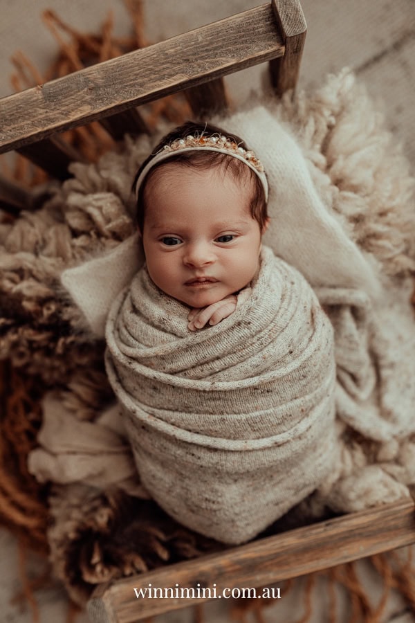 newborn family baby family photos photography pindara bunting obstetrician mater mothers