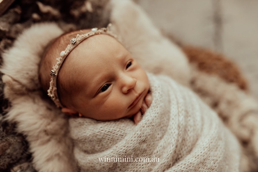 newborn family baby family photos photography pindara bunting obstetrician mater mothers