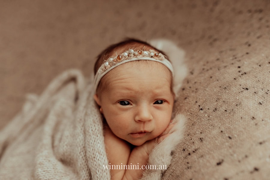 newborn family baby family photos photography pindara bunting obstetrician mater mothers