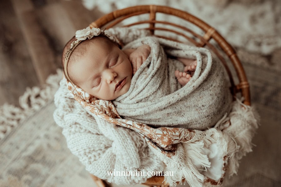 newborn family baby family photos photography pindara bunting obstetrician mater mothers