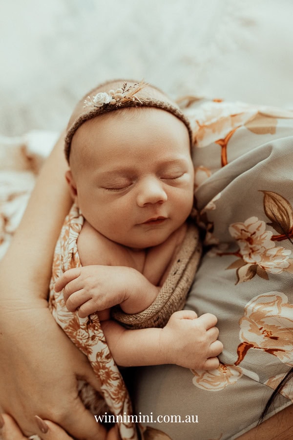 newborn family baby family photos photography pindara bunting obstetrician mater mothers