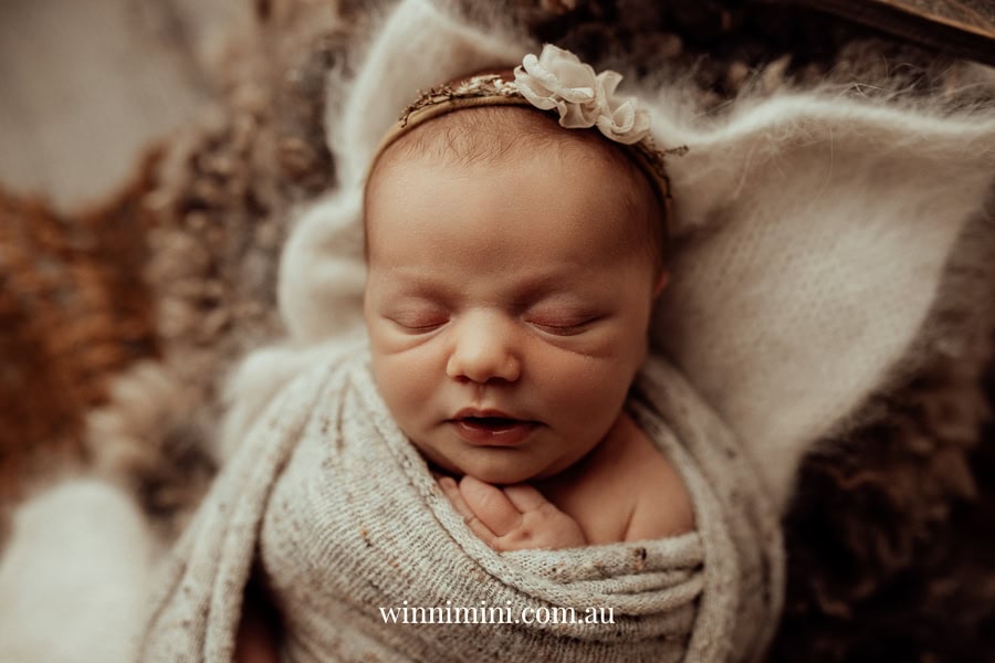 newborn family baby family photos photography pindara bunting obstetrician mater mothers