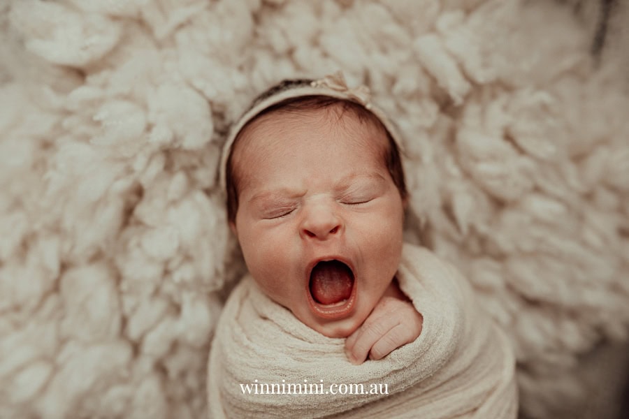 newborn family baby family photos photography pindara bunting obstetrician mater mothers