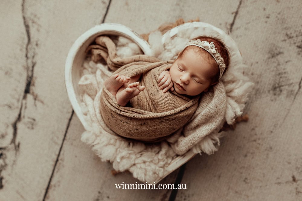 newborn family baby family photos photography pindara bunting obstetrician