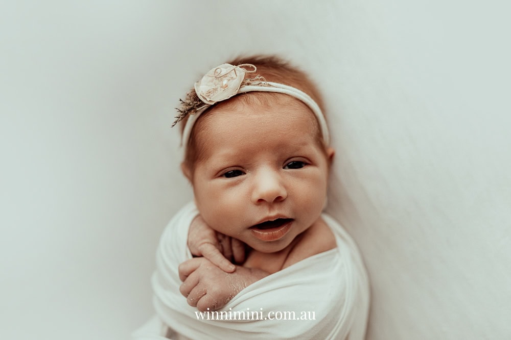 newborn family baby family photos photography pindara bunting obstetrician