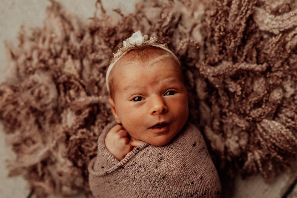 newborn family baby family photos photography pindara bunting obstetrician