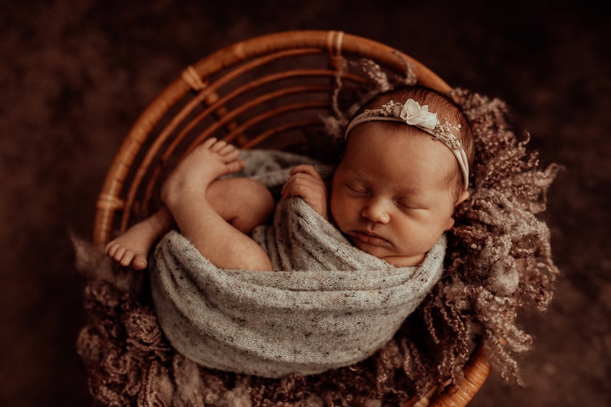 newborn family baby family photos photography pindara bunting obstetrician