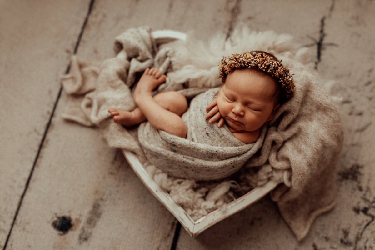 newborn family baby family photos photography pindara bunting obstetrician