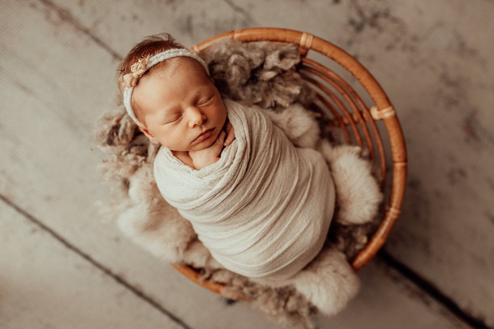 newborn family baby family photos photography pindara bunting obstetrician