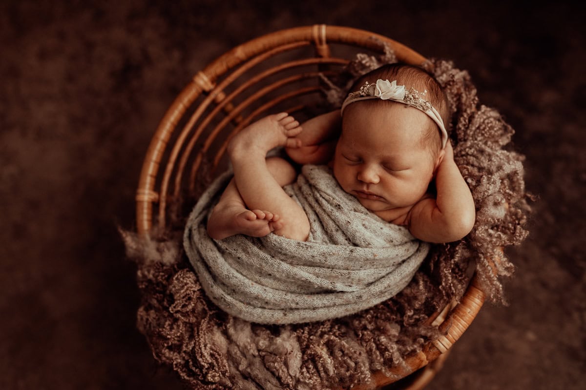 newborn family baby family photos photography pindara bunting obstetrician