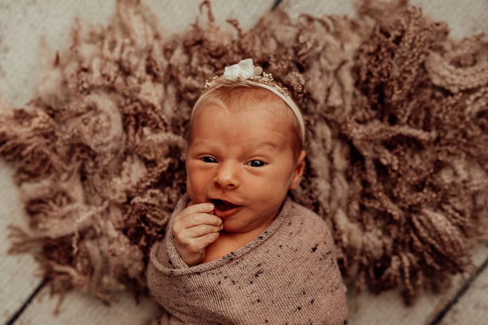 newborn family baby family photos photography pindara bunting obstetrician