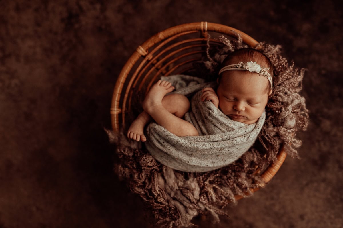 newborn family baby family photos photography pindara bunting obstetrician