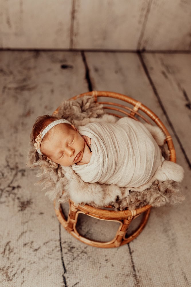 newborn family baby family photos photography pindara bunting obstetrician