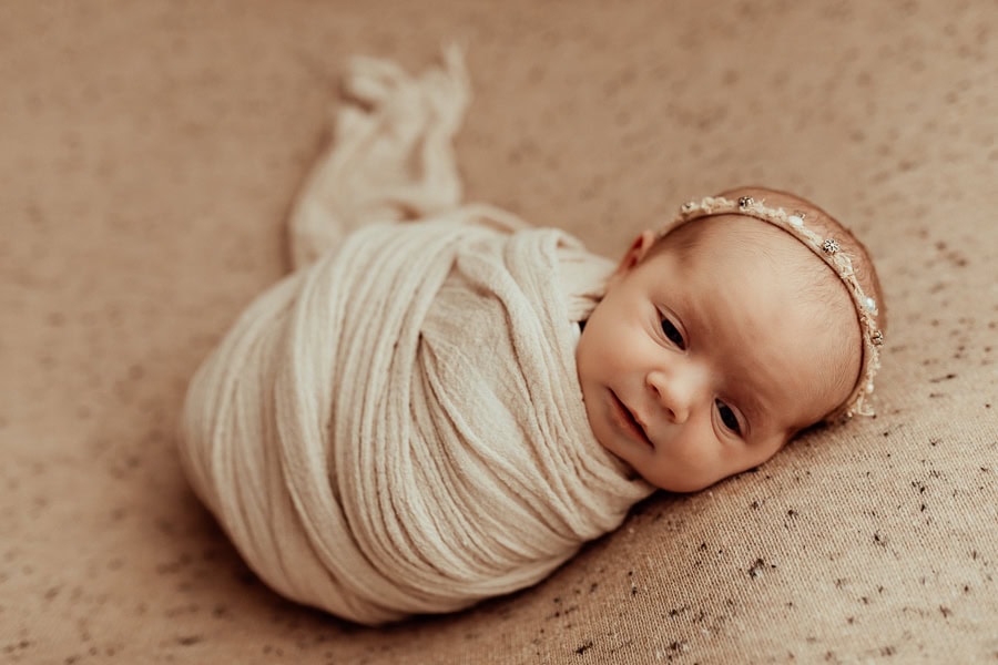 newborn baby maternity family photographer photography photos gold coast brisbane upper coomera tanha basile winni & mini pindara private hospital hypnobirth pregnancy babies portraits photoshoot