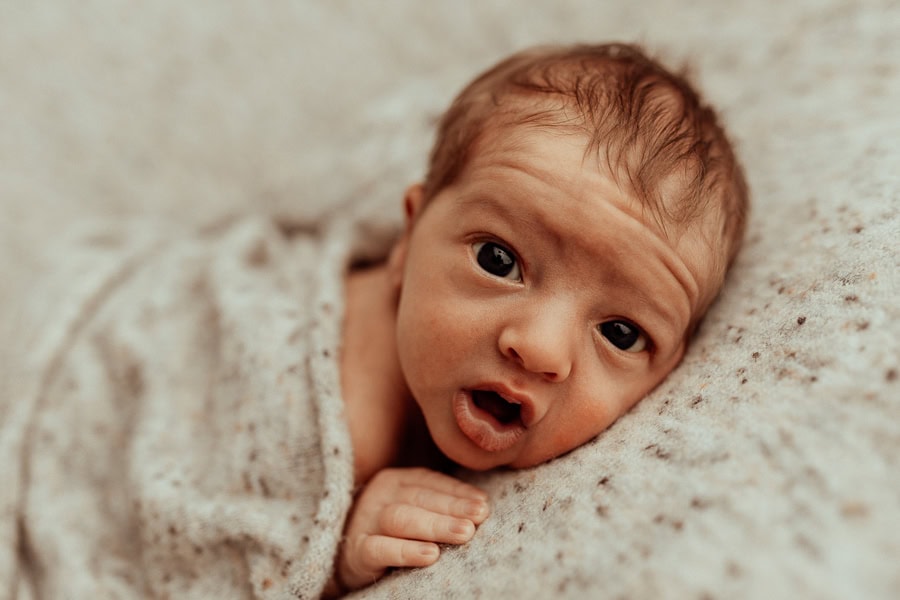 Winni Mini Photography newborn baby family maternity ward photographer gold coast brisbane pregnancy pindara upper coomera-1