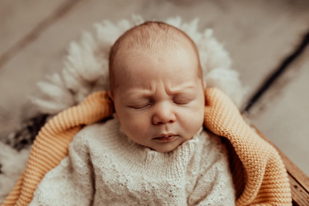 newborn baby family maternity photographer photography photos baby pregnancy pindara gold coast brisbane winni mini tanha upper coomera