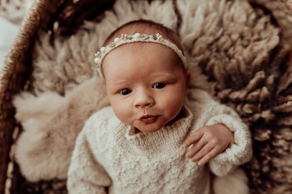 newborn baby family maternity photographer photography photos baby pregnancy pindara gold coast brisbane winni mini tanha upper coomera -20