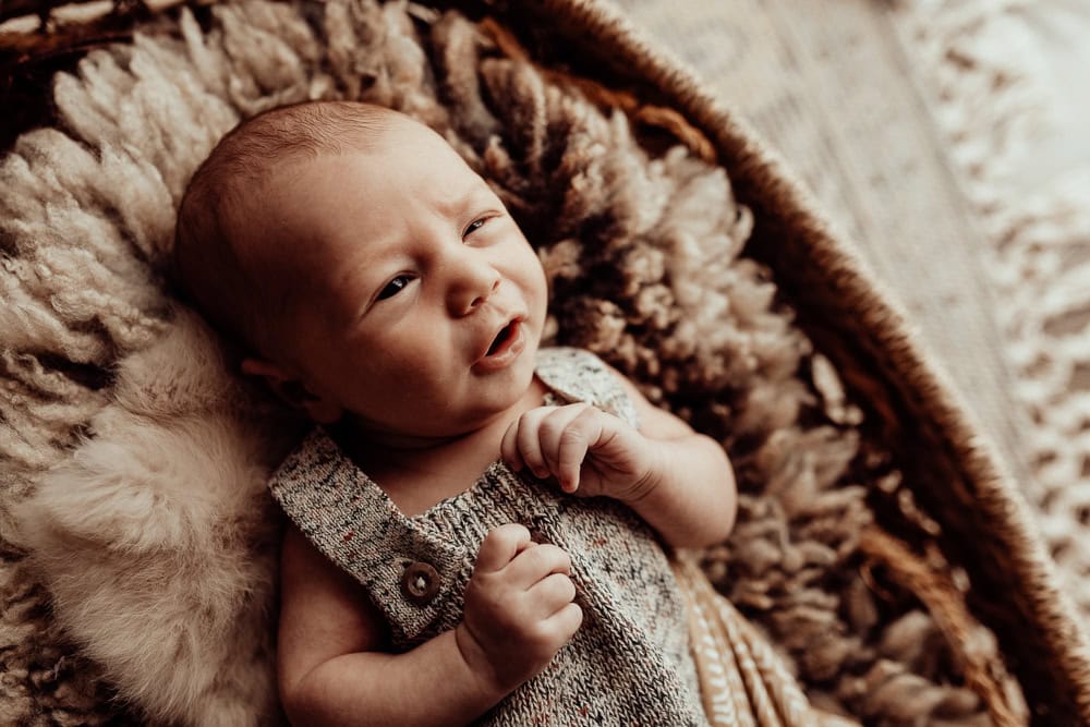 newborn baby family maternity photographer photography photos baby pregnancy pindara gold coast brisbane winni mini tanha upper coomera