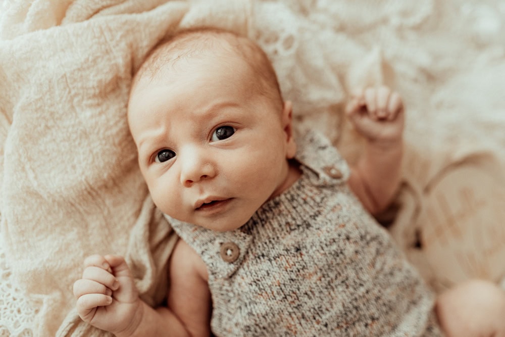 newborn baby family maternity photographer photography photos baby pregnancy pindara gold coast brisbane winni mini tanha upper coomera