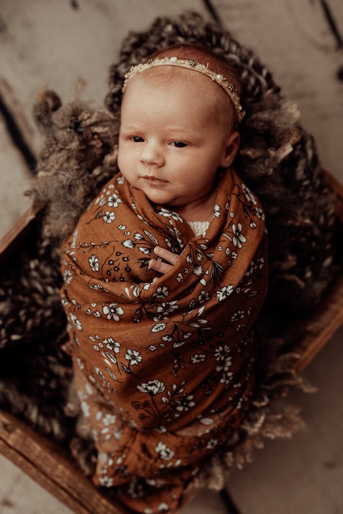 newborn baby family maternity photographer photography photos baby pregnancy pindara gold coast brisbane winni mini tanha upper coomera -20