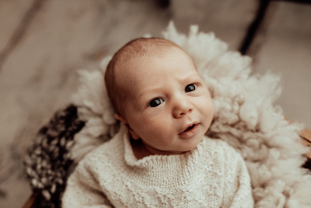 newborn baby family maternity photographer photography photos baby pregnancy pindara gold coast brisbane winni mini tanha upper coomera