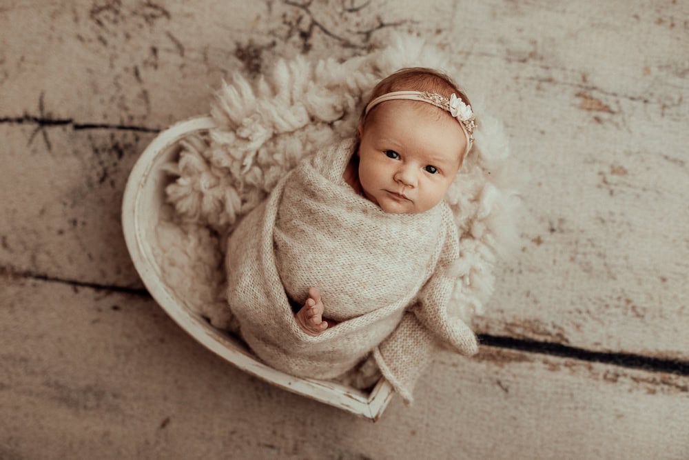 newborn baby family maternity photographer photography photos baby pregnancy pindara gold coast brisbane winni mini tanha upper coomera -20
