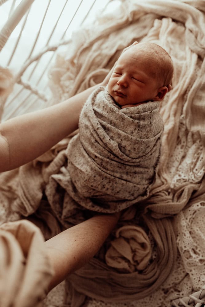 newborn baby family maternity photographer photography photos baby pregnancy pindara gold coast brisbane winni mini tanha upper coomera