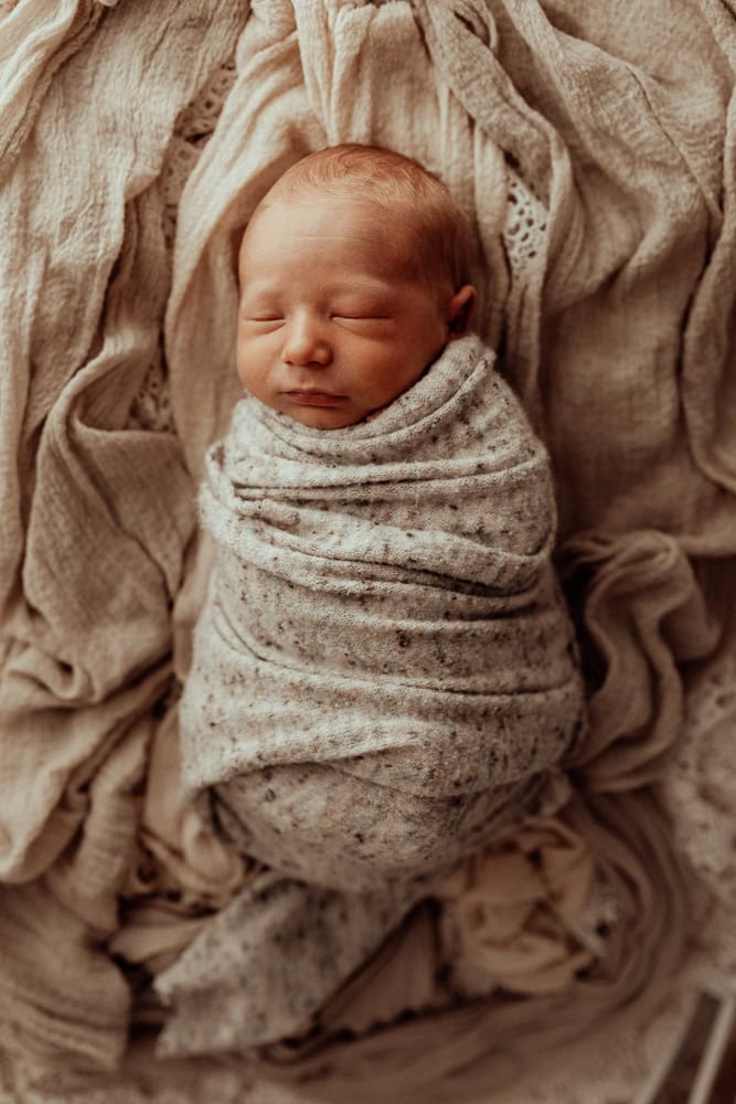 newborn baby family maternity photographer photography photos baby pregnancy pindara gold coast brisbane winni mini tanha upper coomera