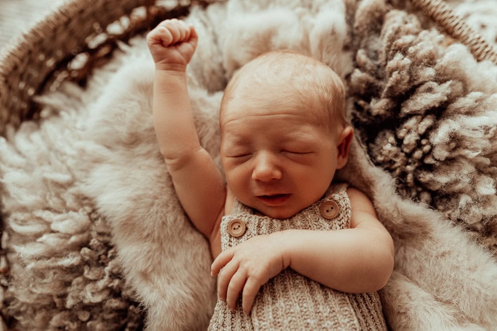 newborn baby family maternity photographer photography photos baby pregnancy pindara gold coast brisbane winni mini tanha upper coomera