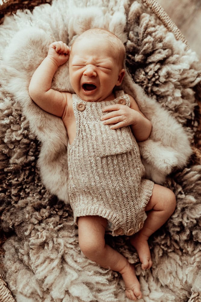 newborn baby family maternity photographer photography photos baby pregnancy pindara gold coast brisbane winni mini tanha upper coomera