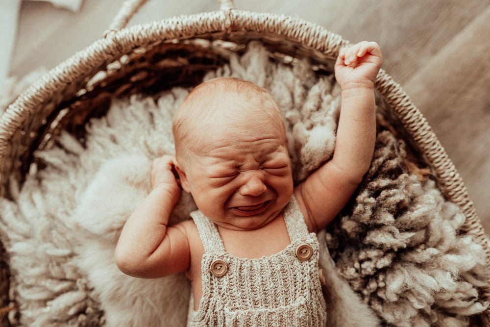newborn baby family maternity photographer photography photos baby pregnancy pindara gold coast brisbane winni mini tanha upper coomera