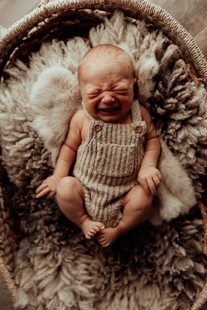 newborn baby family maternity photographer photography photos baby pregnancy pindara gold coast brisbane winni mini tanha upper coomera